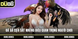 Đá gà cựa sắt