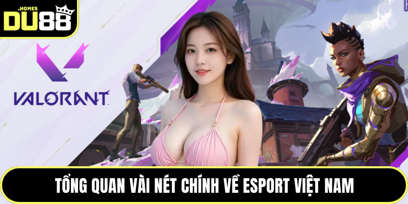 Tổng quan vài nét chính về Esport Việt Nam